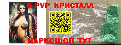 крисы Можга