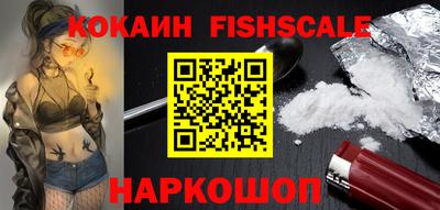 крисы Можга