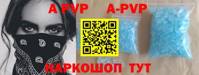 крисы Можга