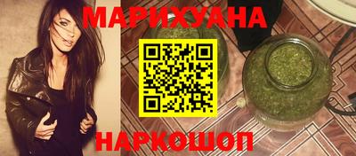 крисы Можга