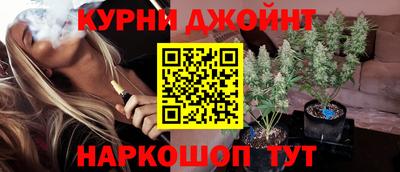 крисы Можга