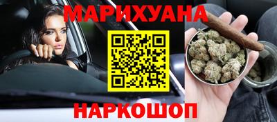 крисы Можга