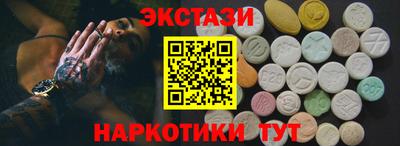 крисы Можга
